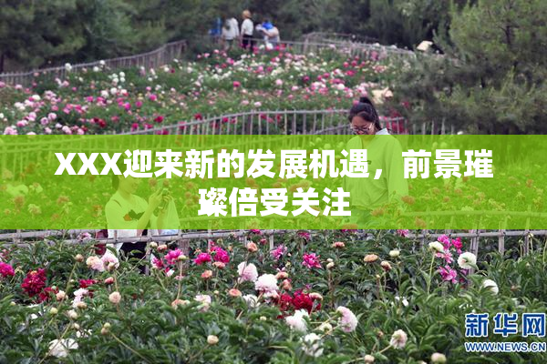 XXX迎来新的发展机遇，前景璀璨倍受关注