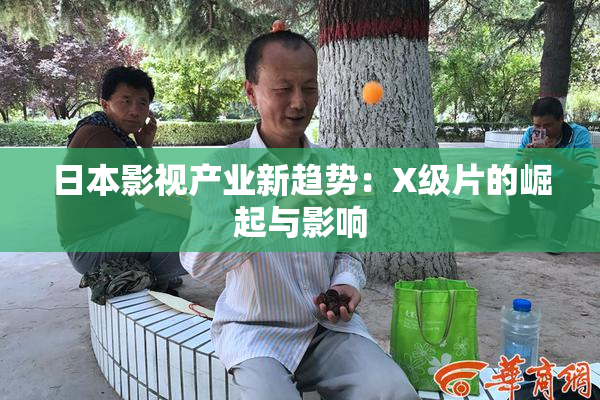日本影视产业新趋势：X级片的崛起与影响