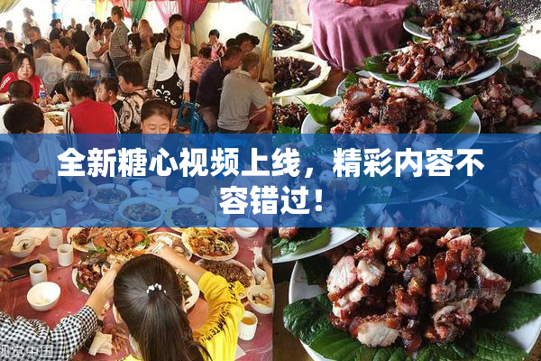 全新糖心视频上线，精彩内容不容错过！