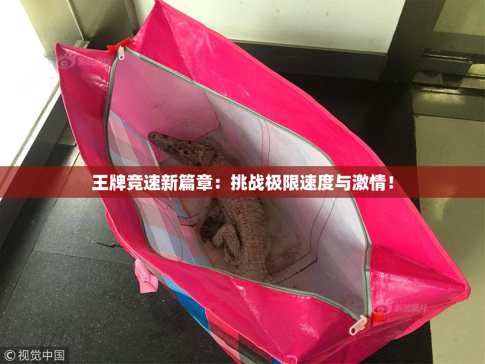 王牌竞速新篇章：挑战极限速度与激情！