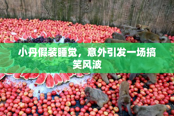 小丹假装睡觉，意外引发一场搞笑风波