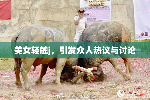 美女轻触j，引发众人热议与讨论