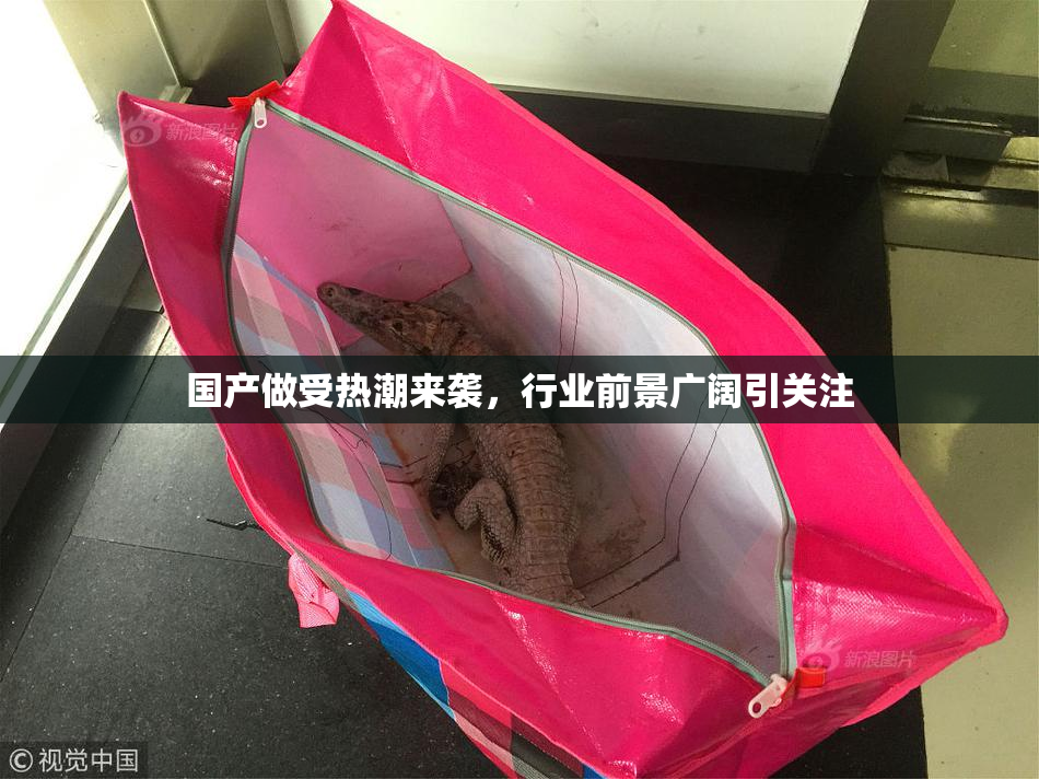国产做受热潮来袭，行业前景广阔引关注