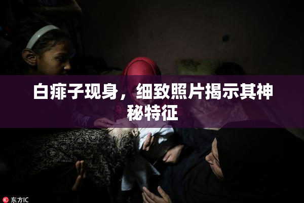白痱子现身，细致照片揭示其神秘特征