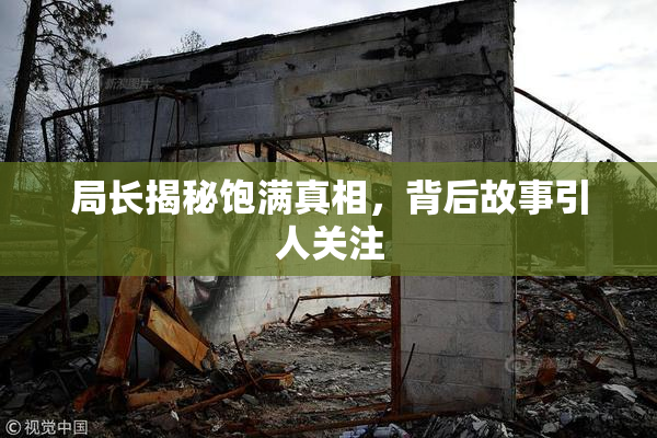 局长揭秘饱满真相，背后故事引人关注