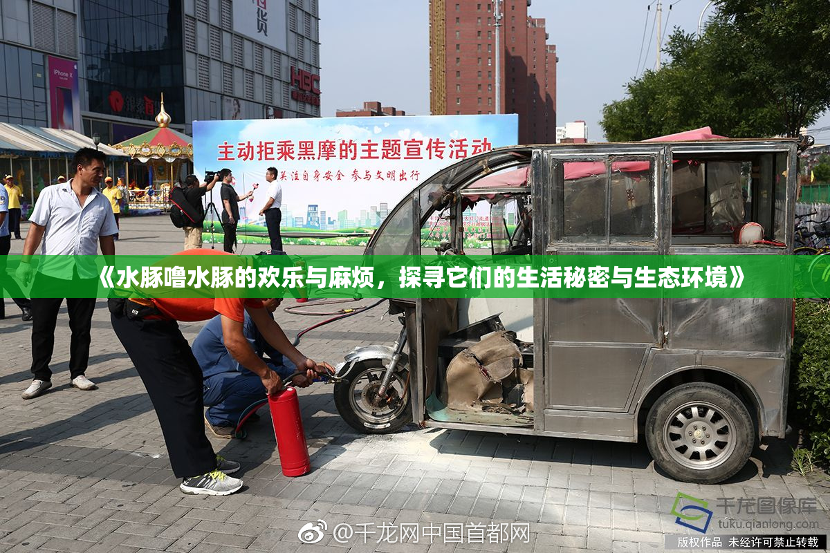 《水豚噜水豚的欢乐与麻烦，探寻它们的生活秘密与生态环境》