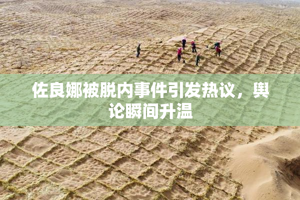 佐良娜被脱内事件引发热议，舆论瞬间升温