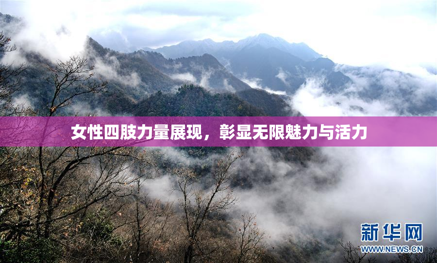 女性四肢力量展现，彰显无限魅力与活力