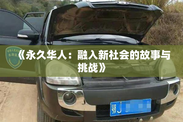 《永久华人：融入新社会的故事与挑战》