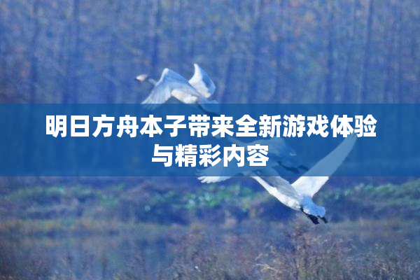 明日方舟本子带来全新游戏体验与精彩内容
