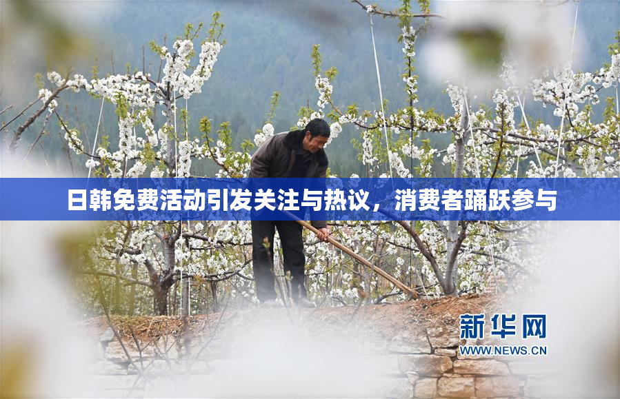 日韩免费活动引发关注与热议，消费者踊跃参与