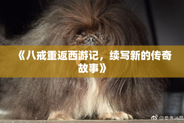 《八戒重返西游记，续写新的传奇故事》