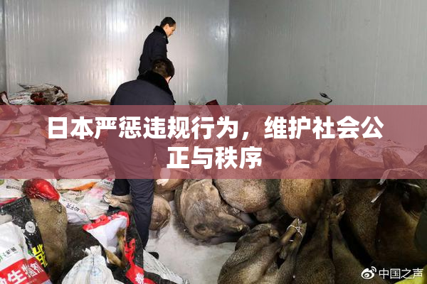 日本严惩违规行为，维护社会公正与秩序