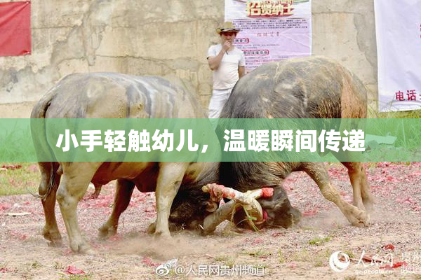 小手轻触幼儿，温暖瞬间传递