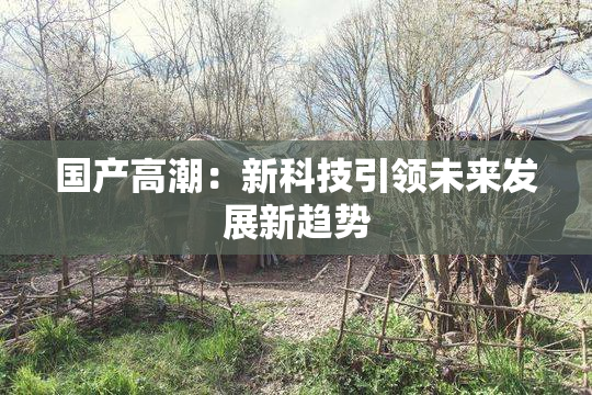 国产高潮：新科技引领未来发展新趋势