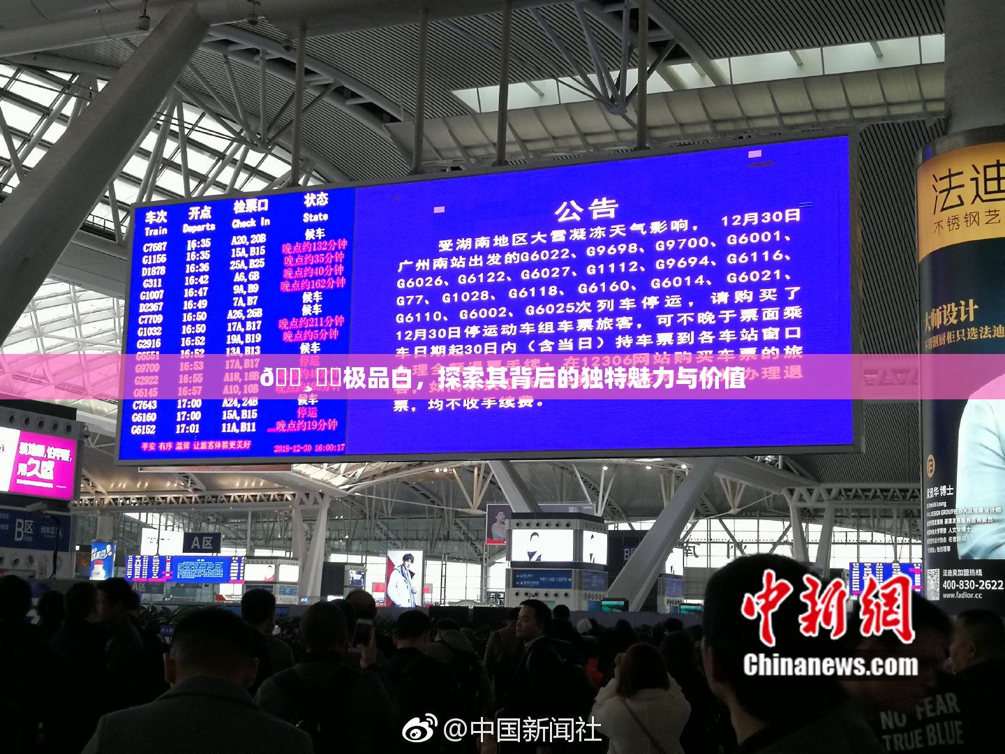 🌸‌✿极品白，探索其背后的独特魅力与价值