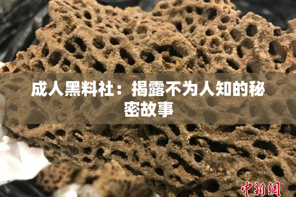 成人黑料社：揭露不为人知的秘密故事