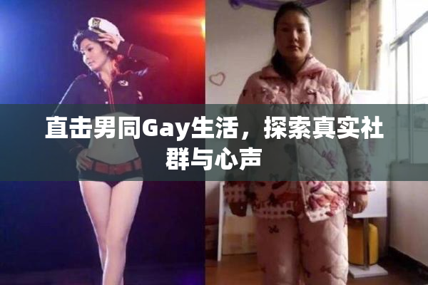 直击男同Gay生活，探索真实社群与心声
