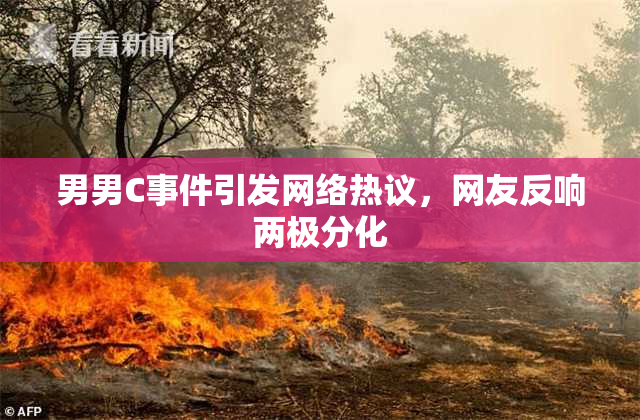 男男C事件引发网络热议，网友反响两极分化