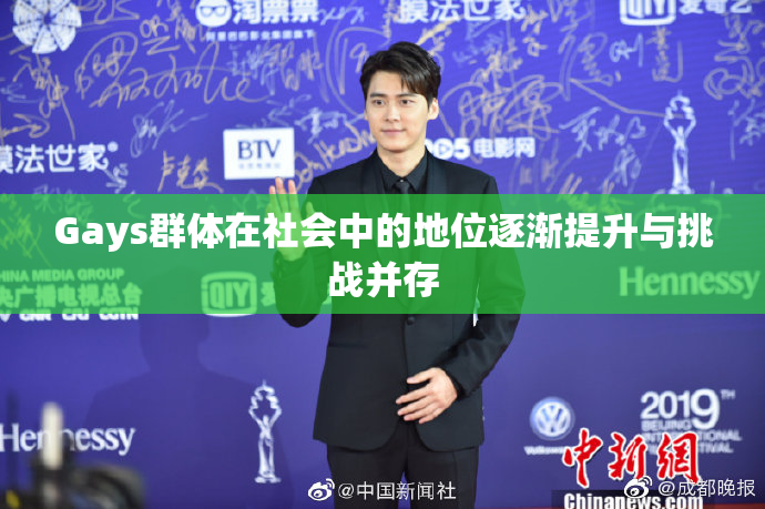 Gays群体在社会中的地位逐渐提升与挑战并存