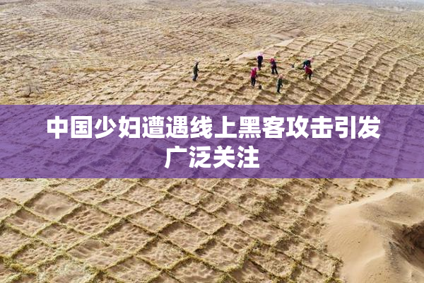 中国少妇遭遇线上黑客攻击引发广泛关注