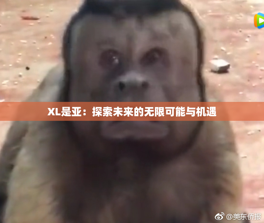 XL是亚：探索未来的无限可能与机遇