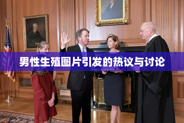 男性生殖图片引发的热议与讨论