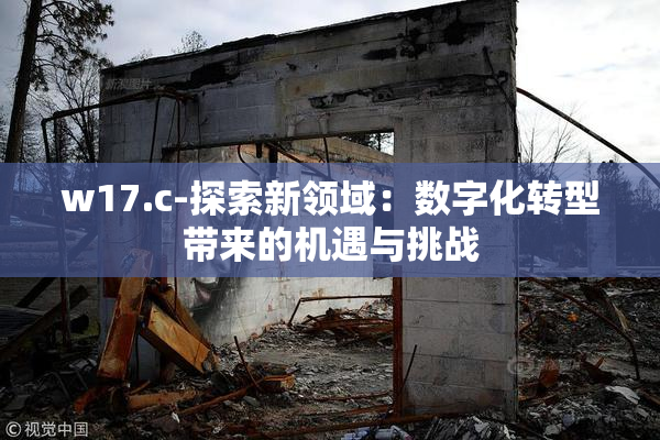 w17.c-探索新领域：数字化转型带来的机遇与挑战