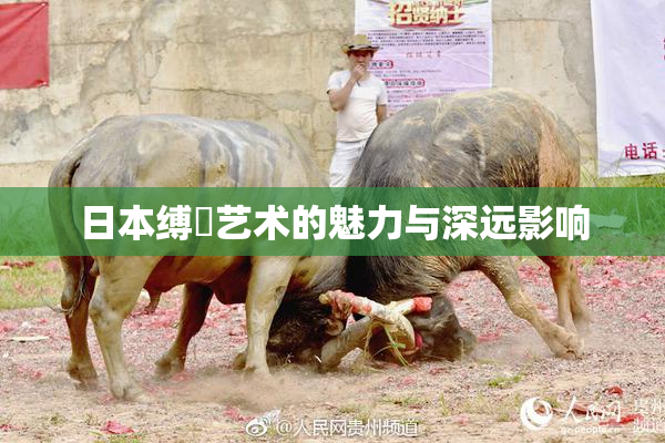 日本缚縄艺术的魅力与深远影响