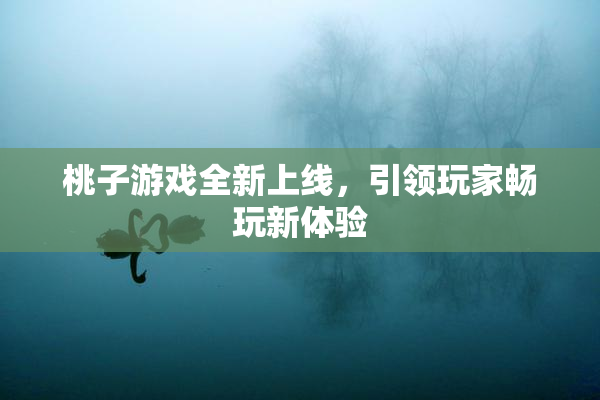 桃子游戏全新上线，引领玩家畅玩新体验