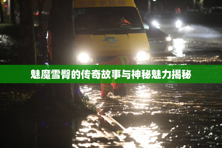 魅魔雪臀的传奇故事与神秘魅力揭秘