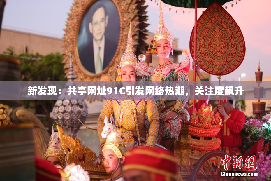 新发现：共享网址91C引发网络热潮，关注度飙升