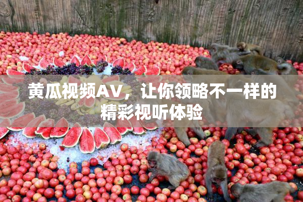 黄瓜视频AV，让你领略不一样的精彩视听体验