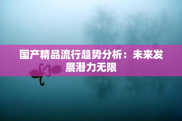 国产精品流行趋势分析：未来发展潜力无限