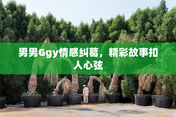 男男Ggy情感纠葛，精彩故事扣人心弦