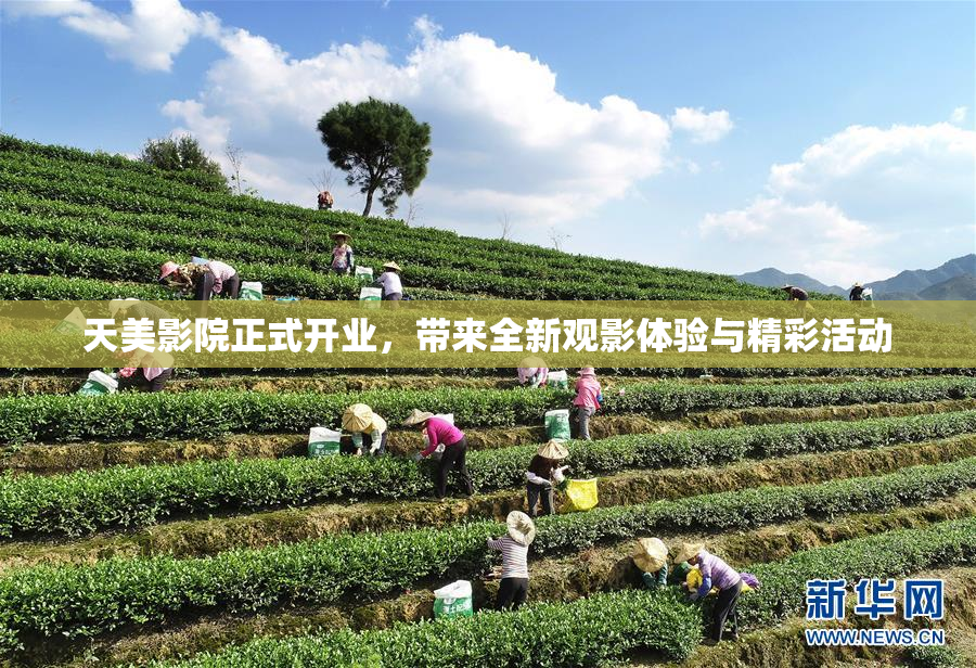 天美影院正式开业，带来全新观影体验与精彩活动