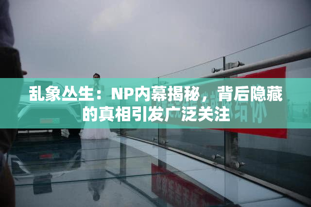 乱象丛生：NP内幕揭秘，背后隐藏的真相引发广泛关注