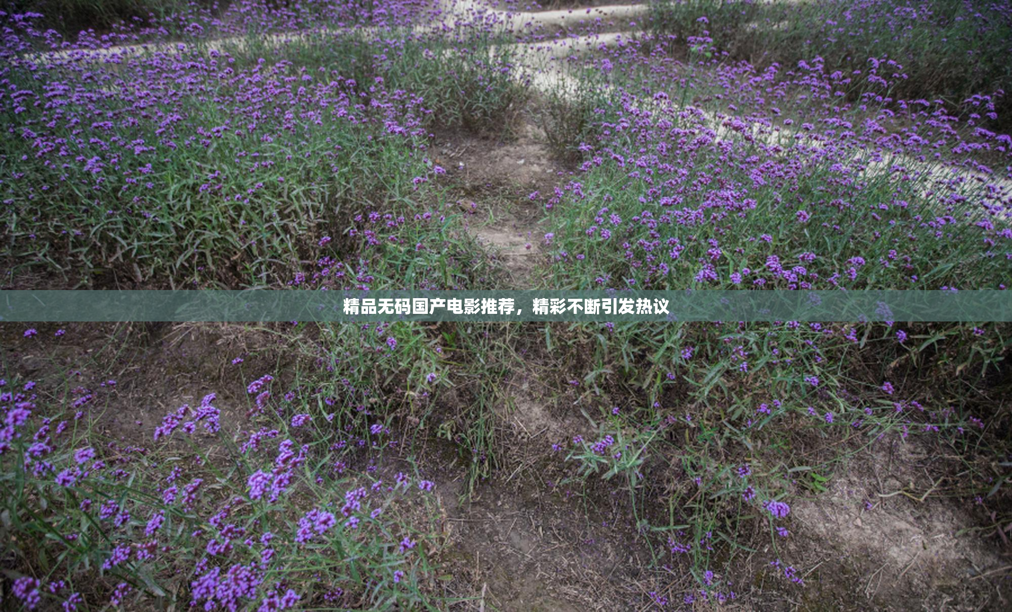 精品无码国产电影推荐，精彩不断引发热议