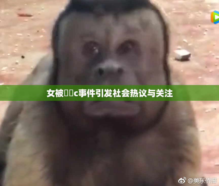 女被❌‌c事件引发社会热议与关注
