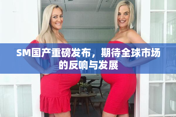 SM国产重磅发布，期待全球市场的反响与发展