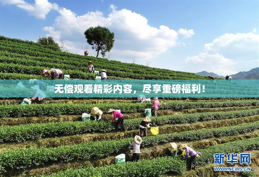 无偿观看精彩内容，尽享重磅福利！