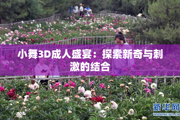小舞3D成人盛宴：探索新奇与刺激的结合