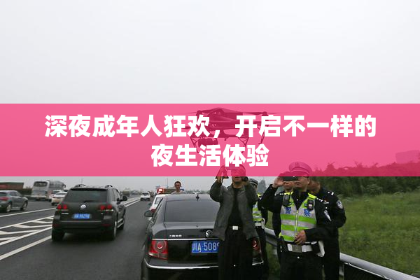 深夜成年人狂欢，开启不一样的夜生活体验
