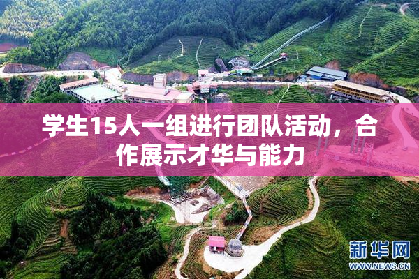 学生15人一组进行团队活动，合作展示才华与能力