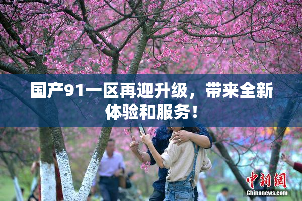 国产91一区再迎升级，带来全新体验和服务！