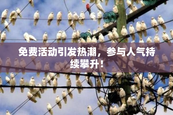 免费活动引发热潮，参与人气持续攀升！