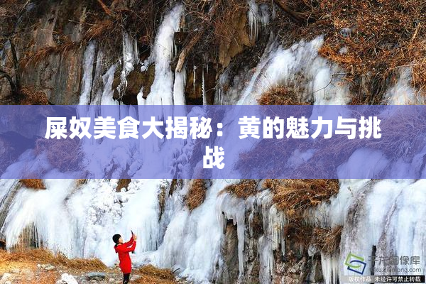 屎奴美食大揭秘：黄的魅力与挑战