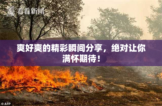 爽好爽的精彩瞬间分享，绝对让你满怀期待！
