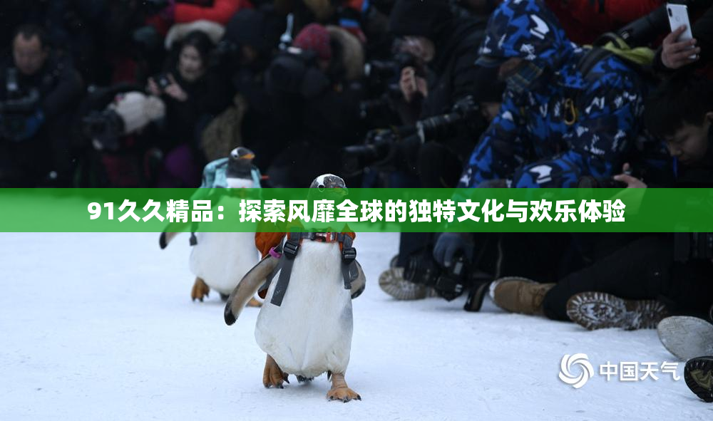 91久久精品：探索风靡全球的独特文化与欢乐体验