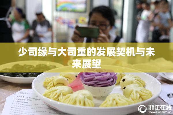 少司缘与大司重的发展契机与未来展望
